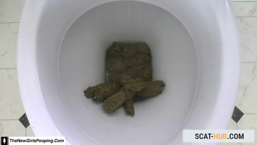 ShitGirl - Toilet Destroyed In 5 Mins [FullHD 1080p / mp4 / 471 MB]