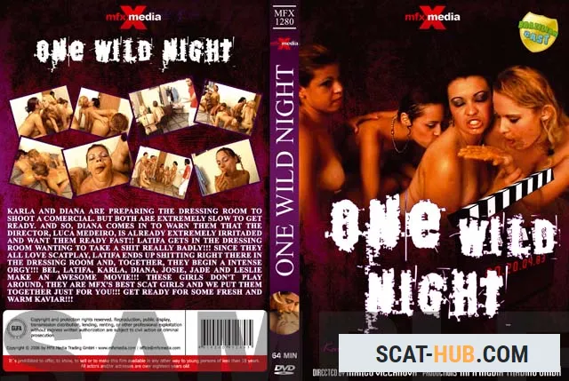 Latifa, Karla, Bel, Diana, Leslie, Josie, Jade - MFX-1280 One Wild Night [DVDRip / avi / 700 MB]