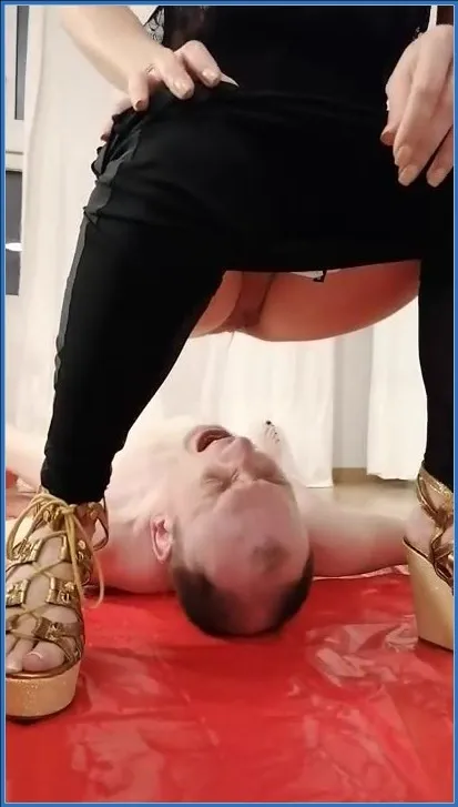 Bitch Toilet Bowl (Scatbook) - Mistress Jardena - scat porn video at Scat-Hub.com