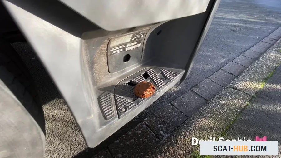 Devil Sophie - OMG - how does the shit get onto the truck running board [UltraHD 4K / mp4 / 338 MB]