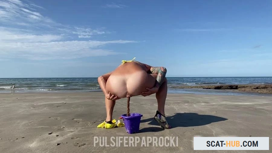 PulsiferPaprocki - Beach Bucket Poopd [FullHD 1080p / mp4 / 98.6 MB]