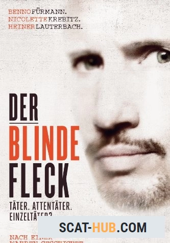 Der blinde Fleck (2013) [FullHD 1080p / AVC / 236.89 MB]