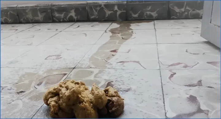 Solo Fart Fetish - Badkitty Españan in Poop on The Balcony Exposed to Stares! - scat porn video at Scat-Hub.com