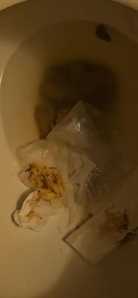 Flushes shit down the toilet [UltraHD 4K / mp4 / 9.00 MB]