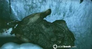 I CAN touch YOU with IT! [HD 720p / AVC / 197.27 MB]