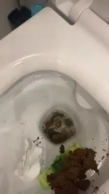 Daily portion of shit for my bitches [SD / mp4 / 12.2 MB]