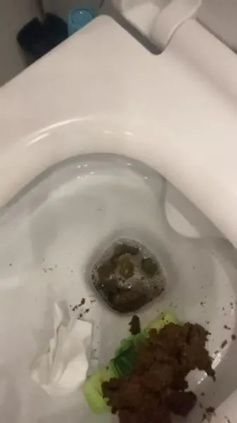 Daily portion of shit for my bitches [SD / mp4 / 12.2 MB]