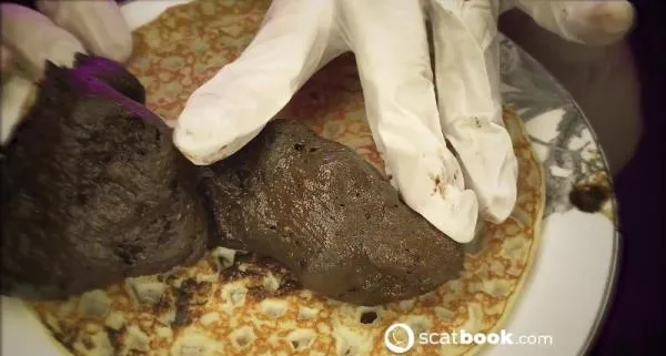 OMFG! These pancakes, taste like me! [FullHD 1080p / AVC / 354.3 MB]