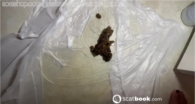 Two Shits in Home, Kaviar HD 720p - scat porn video at Scat-Hub.com