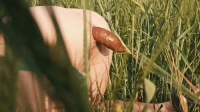 Online Doggystyle Shit In a Field [HD 720p / mp4 / 36.0 MB] scat-hub.com