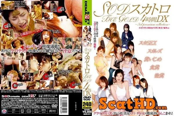 Nozomi Kimura - THE GOLD DX scatology SOD for 4 hours [DVDRip / AVI / 3.94 GB]