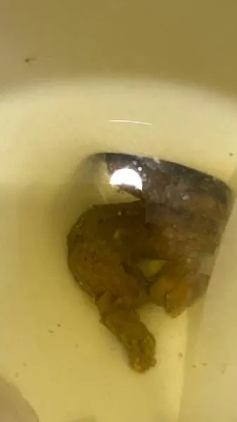 Shitting On The Bathroom Floor At Work [SD / mp4 / 347 MB]