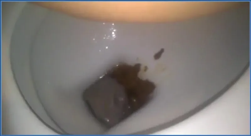 HotDirtyIvone - Sarah: A Public Toilet ride (Scat-Shop) - scat porn video at Scat-Hub.com