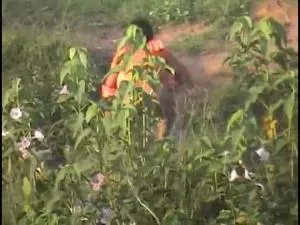 Online Indian Pissing [SD / wmv / 85.4 MB] scat-hub.com