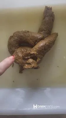 Download Toilet Pov - Hoy He Hecho Este Delicioso Pastel De Mierda [UltraHD 2K / mp4 / 66.2 MB] scat-hub.com