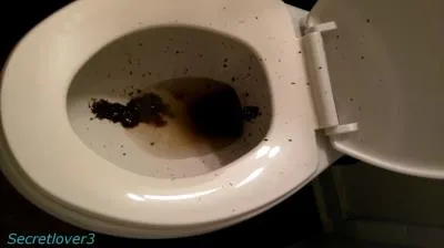 Online Toilet Spray [FullHD 1080p / mp4 / 568 MB] scat-hub.com