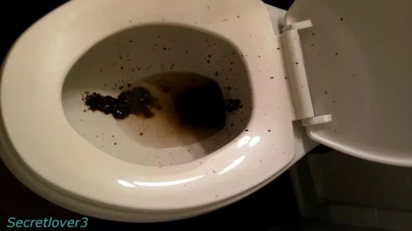 Toilet Spray [FullHD 1080p / mp4 / 568 MB]