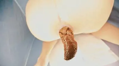 Online White Photobox [HD 720p / mp4 / 7.16 MB] scat-hub.com