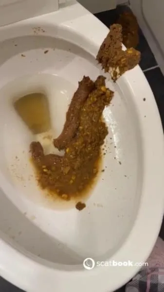 Bossys Bathroom Blunder A Splattered Catastrophe [SD / mp4 / 9.86 MB]