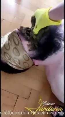 Online Scat lunch for my dirty slut [SD / mp4 / 32.0 MB] scat-hub.com