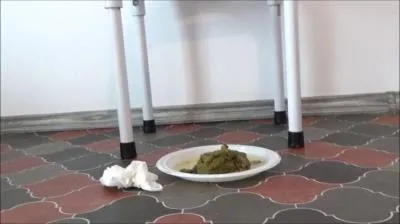 Online Potty Breakfast [SD / mp4 / 258 MB] scat-hub.com