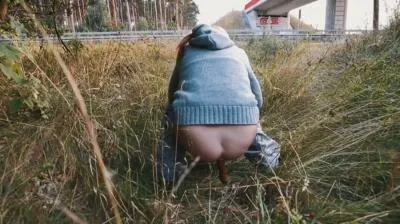Online Highway Pooping 3 [HD 720p / mp4 / 40.8 MB] scat-hub.com
