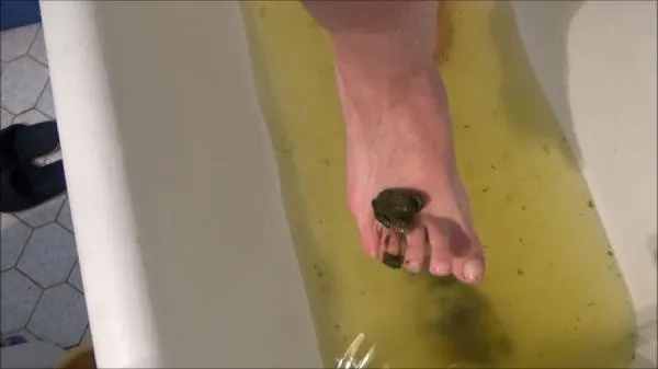 Poop And Enema [SD / mp4 / 382 MB]