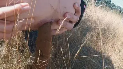 Online Highway Pooping [HD 720p / mp4 / 35.0 MB] scat-hub.com