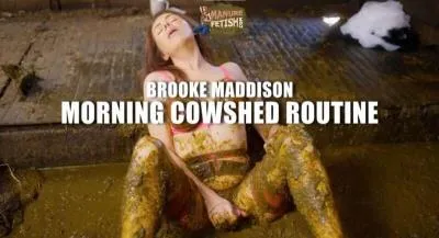 Online Morning Cowshed Routine [HD 720p / mp4 / 820.8 MB] scat-hub.com