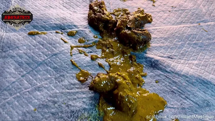 Mystique Commands the Mess: A Sharp, Dominant Scat Romp with Real - scat porn video at Scat-Hub.com
