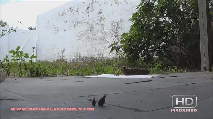 Amateur Girl Drops a Warm Brown Load in Quick, Messy Solo Scat Clip - related scat video at Scat-Hub