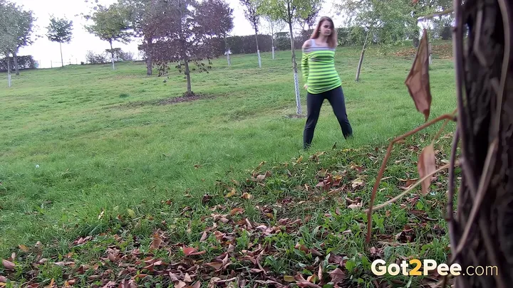 A Desperate Driver's Roadside Stop - Pissing Outdoor - FullHD 1080p - scat porn video at Scat-Hub.com