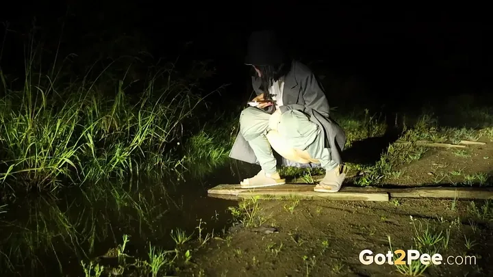 Night Lights - Pissing Outdoor - FullHD 1080p - scat porn video at Scat-Hub.com